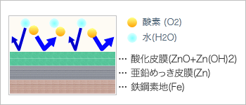 保護皮膜作用